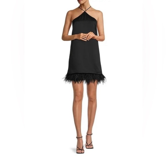Michael Kors Dresses & Skirts - Michael Kors Black
Triangle Feather Dress
